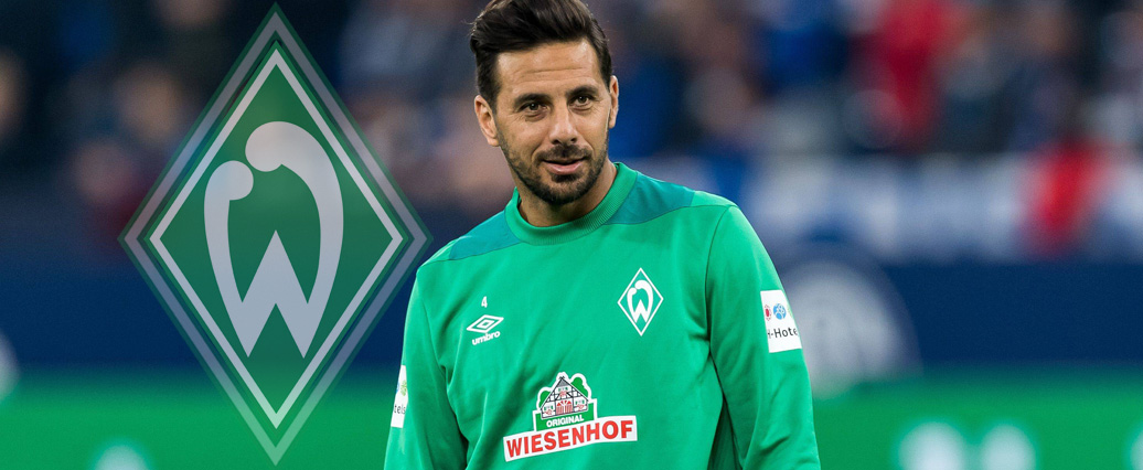 Werder Bremen: Claudio Pizarro fällt wochenlang aus!