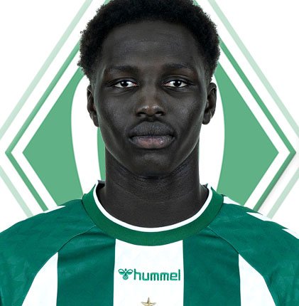 Ramiz Hamouda