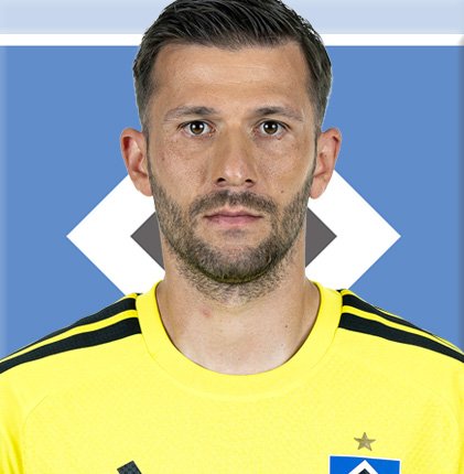 Daniel Heuer Fernandes