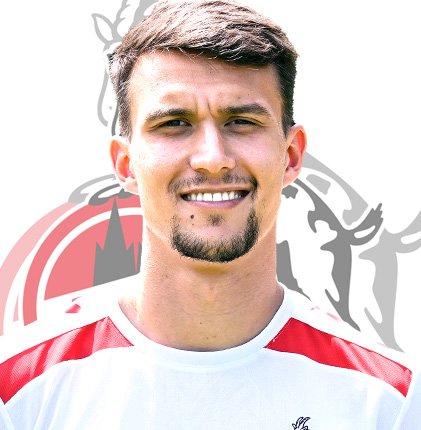 Dejan Ljubičić