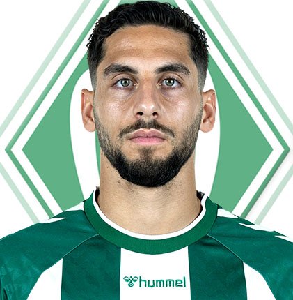 Ludovit Reis