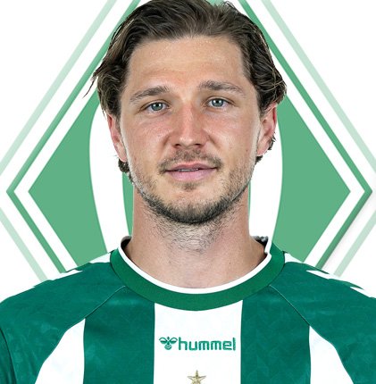 Niklas Stark