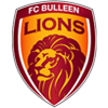 FC Bulleen Lions U19