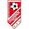 Gwarek Zabrze U19