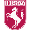 Hammer SpVg Jugend