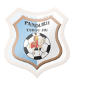 Pandurii Targu Jiu