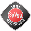 SpVgg Neckarelz