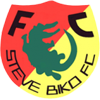 Steve Biko FC