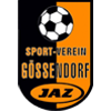 SV Gössendorf Jugend