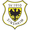 SV Sinsheim Jugend
