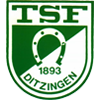 TSF Ditzingen Jugend