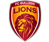 FC Bulleen Lions