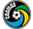 New York Cosmos