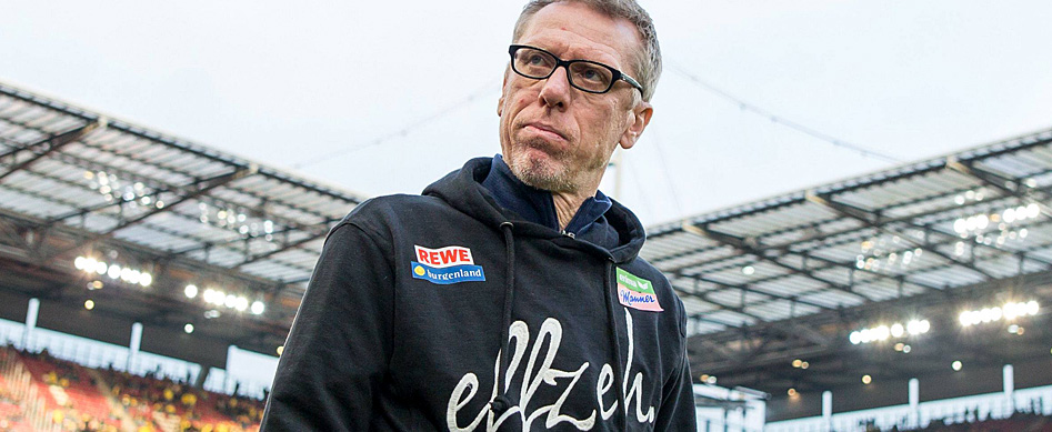 1. FC Köln und Peter Stöger sondieren Zusammenarbeit