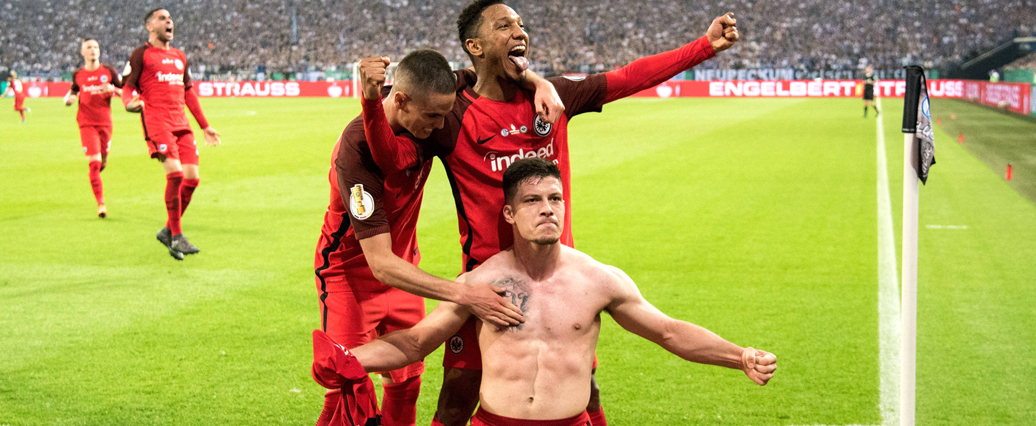 Eintracht Frankfurt: Bringt Jovic das Büffelherde-Feeling zurück?