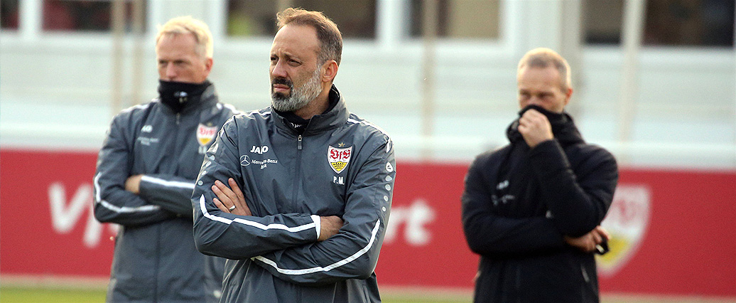 VfB Stuttgart: Quartett meldet sich im Training zurück
