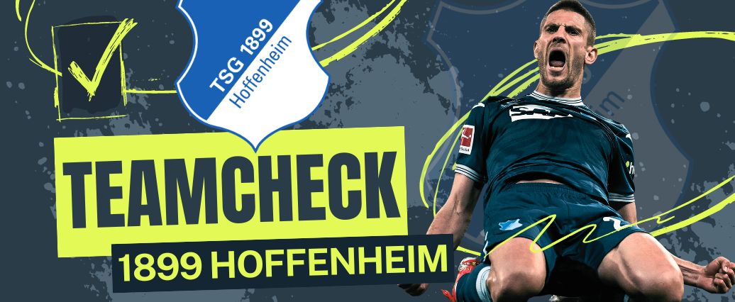 TSG Hoffenheim im Bundesliga-Teamcheck