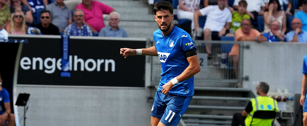 TSG Hoffenheim: Florian Grillitsch tastet sich individuell heran