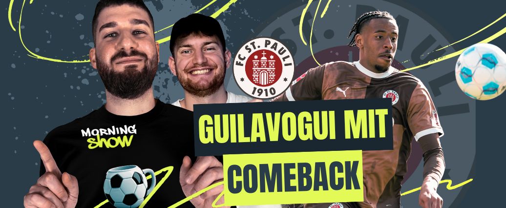 Braun-Weißer Toptorjäger kehrt zurück