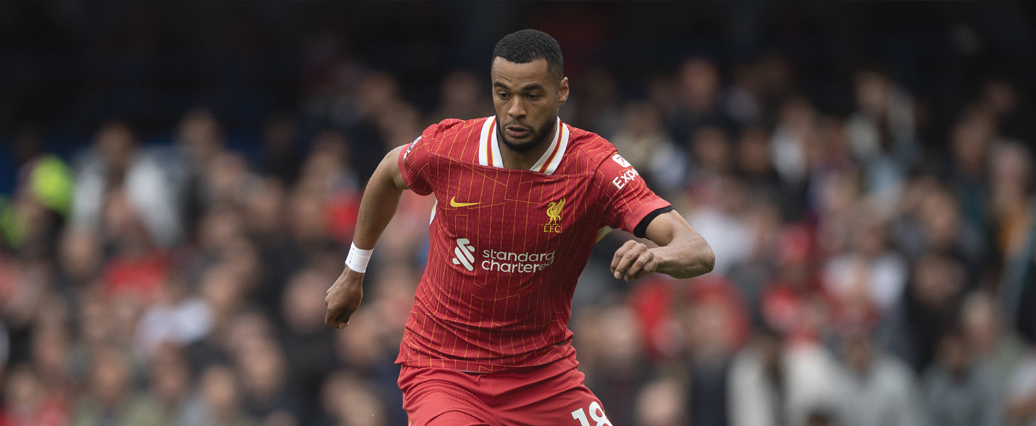 FC Bayern München hat Liverpools Gakpo auf der Liste