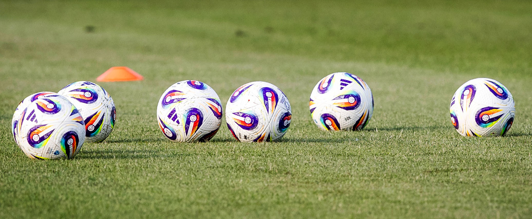 Gold Cup & U21-EM: Diese Bundesliga-Spieler sind im Einsatz