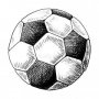 Feldspieler