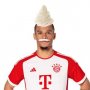 Leroy Sahne