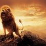 BTN54